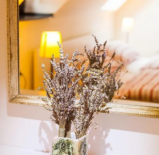 Appartement House Trta *